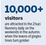 Majestic mountains prove stunning draw for Licang's tourism sector