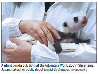 Giant panda cub makes debut at zoo in Shirahama