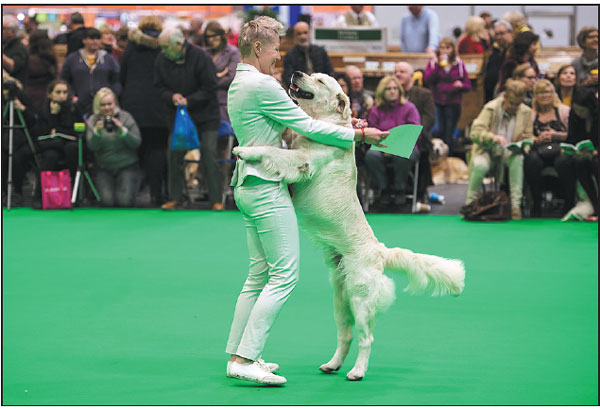 Crufts dog show opens in Birmingham