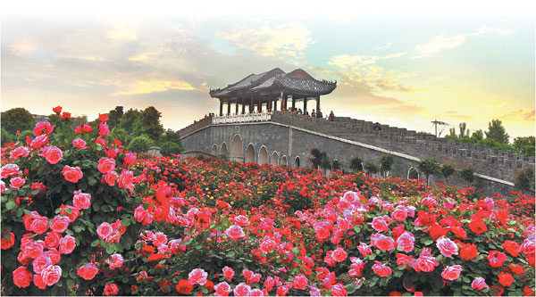 City prepared to welcome regional rose convention