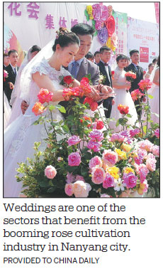 Nanyang residents reaping benefits of flower cultivation