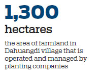 Dahuangdi aims for full-scale development