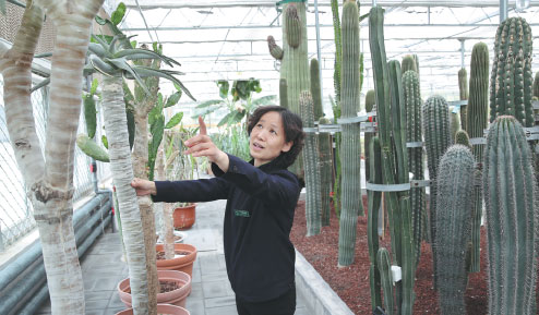PLUGGING THE GREEN DEFICIT