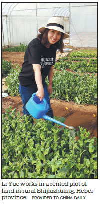 'Veggie vids' cultivate a growing following for green-fingered friends