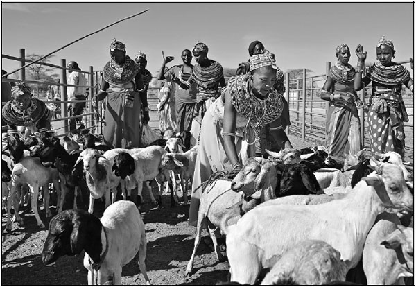 Tradition meets tech as Kenyan herders adapt to climate change