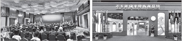 Ningbo a strong anchor for cooperation