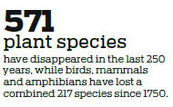 Humans driving more plants to extinction