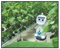 On chinadaily.com.cn