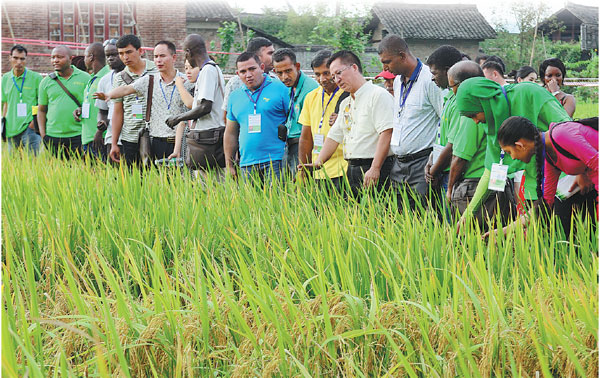 Expo highlights China-Africa cooperation