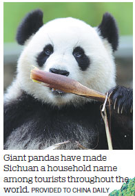 Pandas inspire new pathways for tours