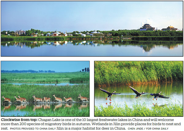 Ecological protection grows local biodiversity