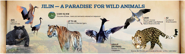 Ecological protection grows local biodiversity
