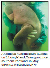 Thai dugong dies from shock and eating plastic