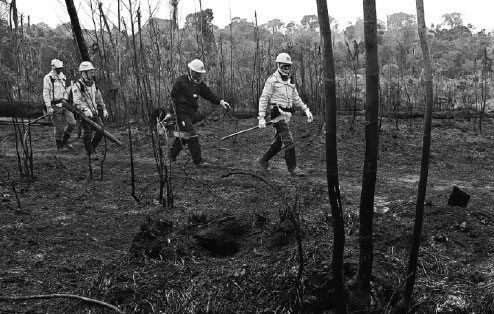 Warplanes dump water on Amazon as Brazilian military begins fighting fires