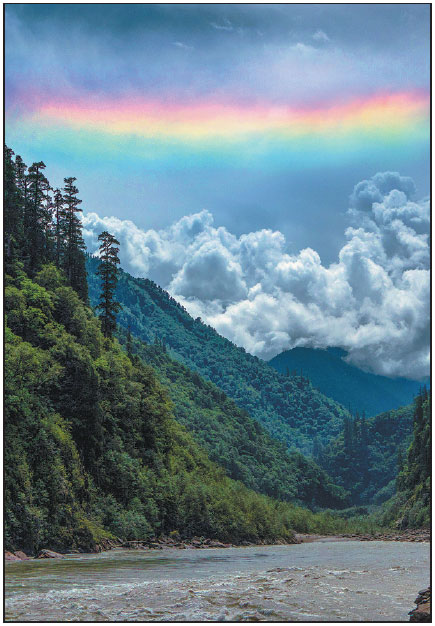 Cloudy outlook brings sunshine to online group