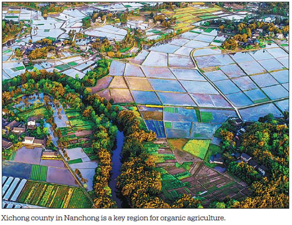 Region a key part of Sichuan's opening-up