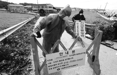 ROK culls thousands of pigs after confirming African swine fever