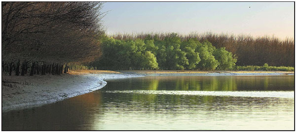 Green focus hoped to foster sustainability