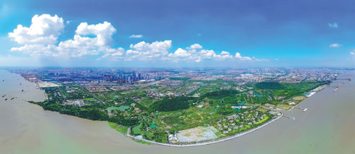 Nantong's forest protection leads to greener tourism