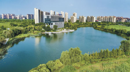 Nantong's forest protection leads to greener tourism