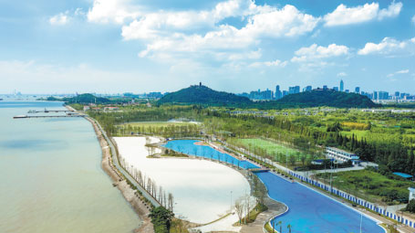 Nantong's forest protection leads to greener tourism