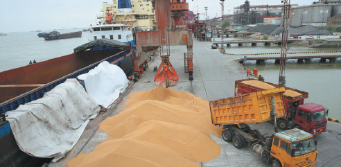 Bright future for Brazil-China economic ties