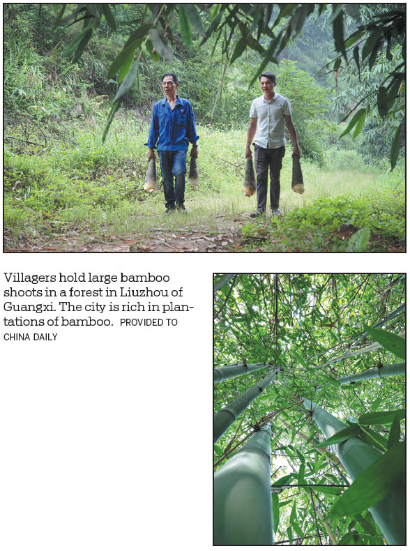 Developing distinctive local industries puts Liuzhou on pathway to success