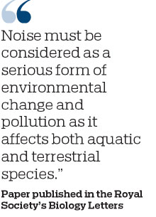 Man-made noise a 'major pollutant'