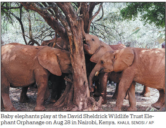 Wildlife gain from community support