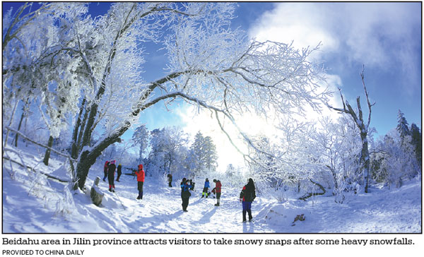 City welcomes first rime of winter as unique frost appears