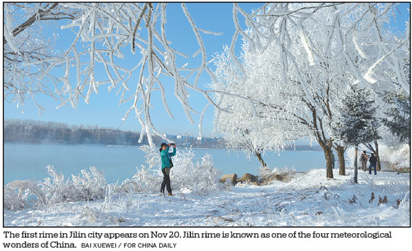 City welcomes first rime of winter as unique frost appears