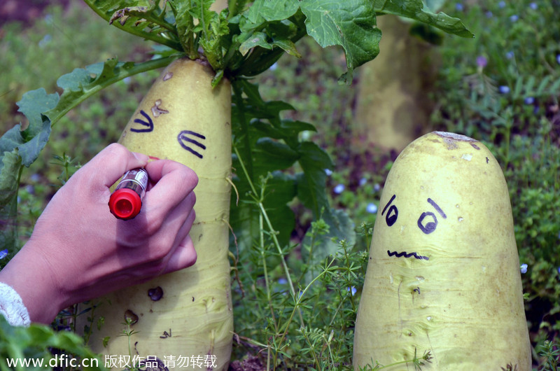 Artist gives new life to radishes