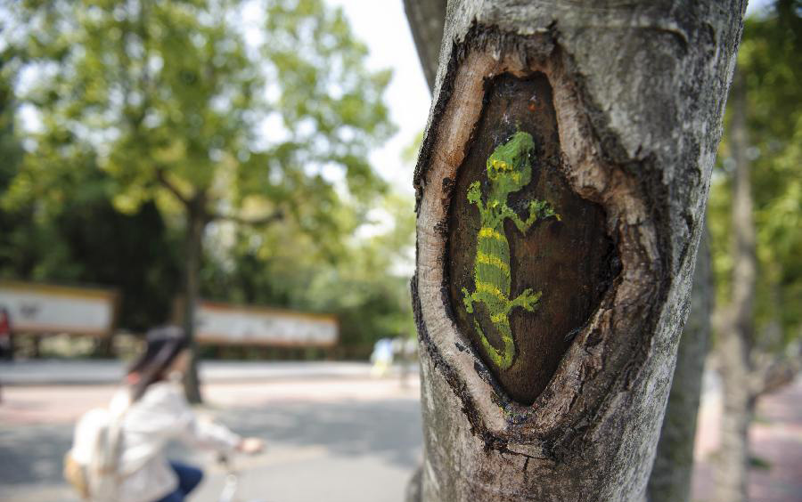 Tree hollow paintings brighten university campus