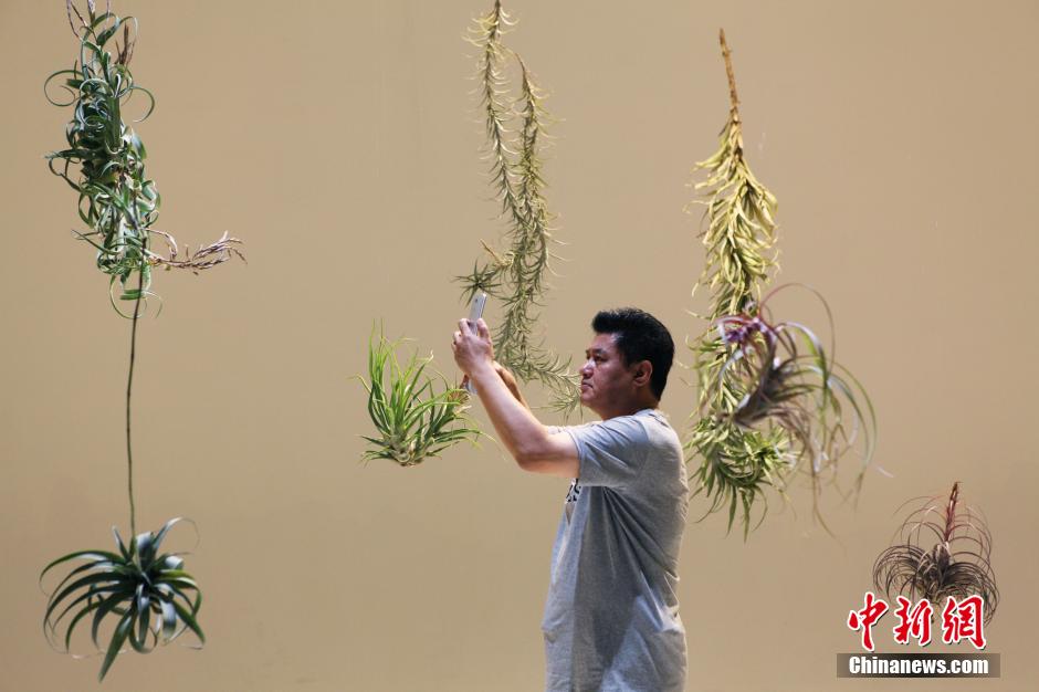 Exotic Plant Show held in Shanghai
