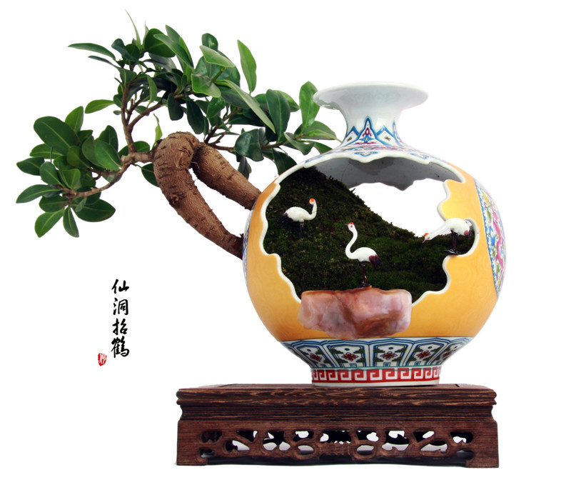 Amazing porcelain bonsai in NW China