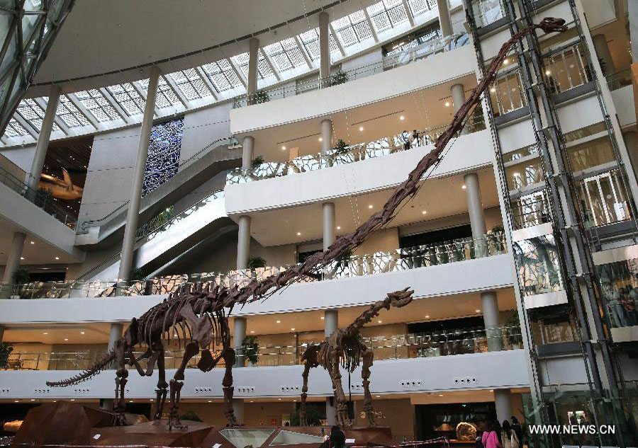 Natural History Museum opens in Shanghai