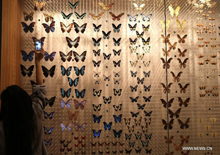 Natural History Museum opens in Shanghai