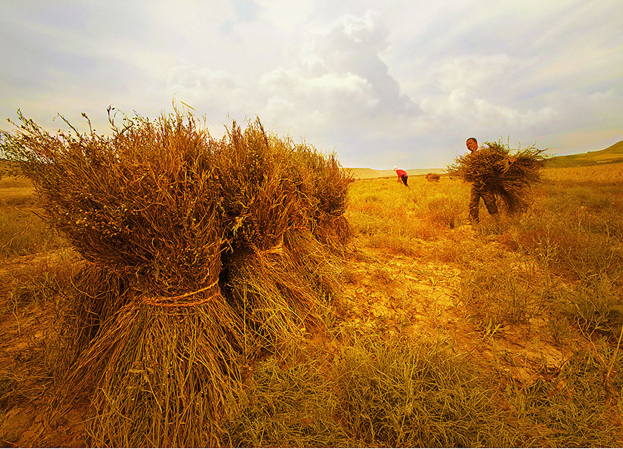 Photographer captures the beauty of Xihaigu