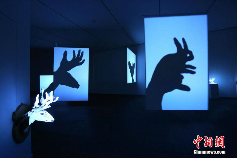 Art exhibition 'The Shadow Never Lies' held in Shanghai