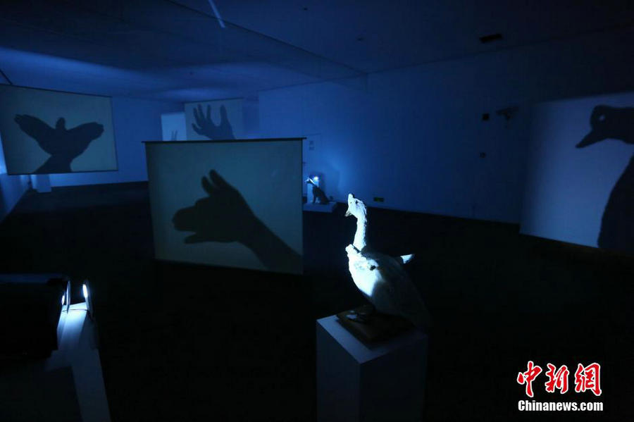 Art exhibition 'The Shadow Never Lies' held in Shanghai