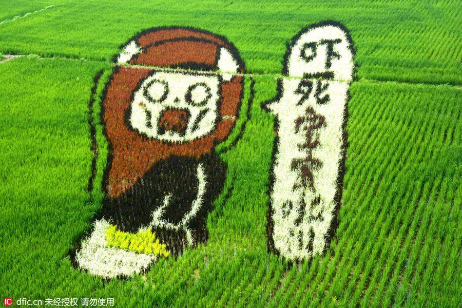 3D Tanbo art pictures shine in Liaoning