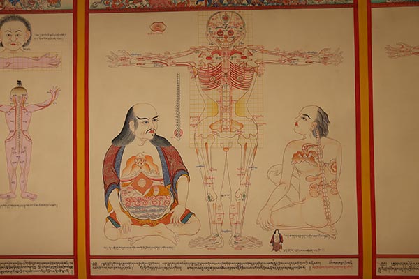 Thangka paintings on Tibetan medicine on display[1]- Chinadaily.com.cn