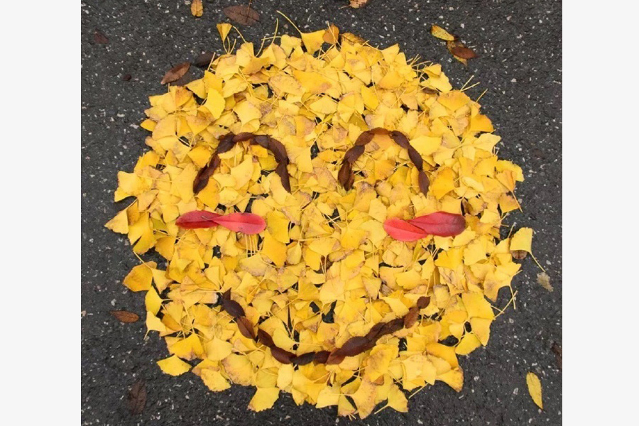 Leaves transform into emojis