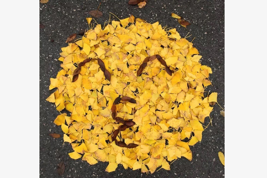 Leaves transform into emojis