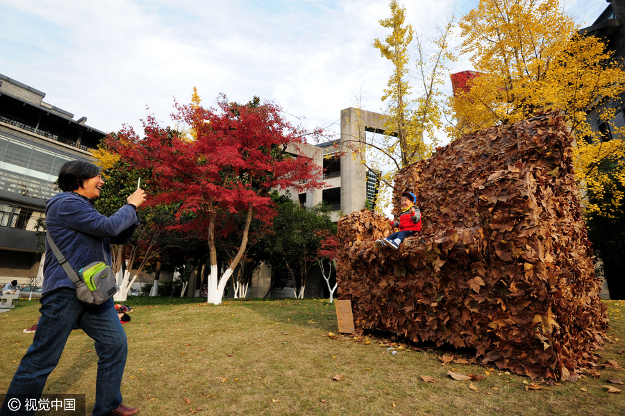 Foliage artworks, last glimpse of autumn in Hangzhou