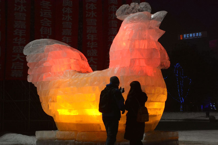 Chicken artwork celebrates Year of the Rooster