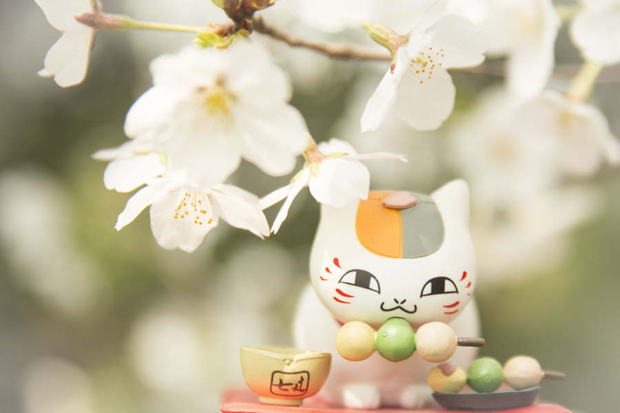 When anime figurines meet cherry blossoms