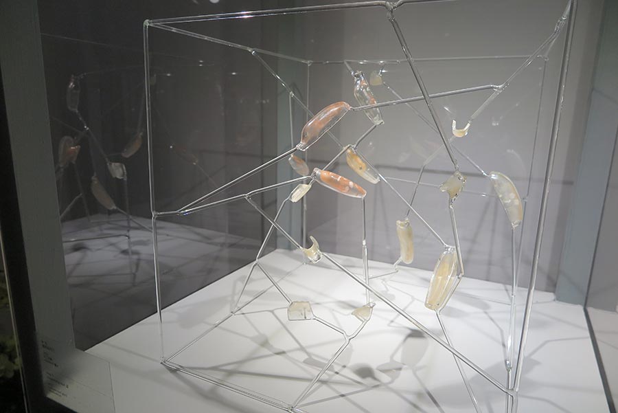 Beijing exhibition reveals the beauty of glass