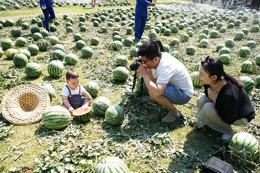 Watermelons add fun to graduation season