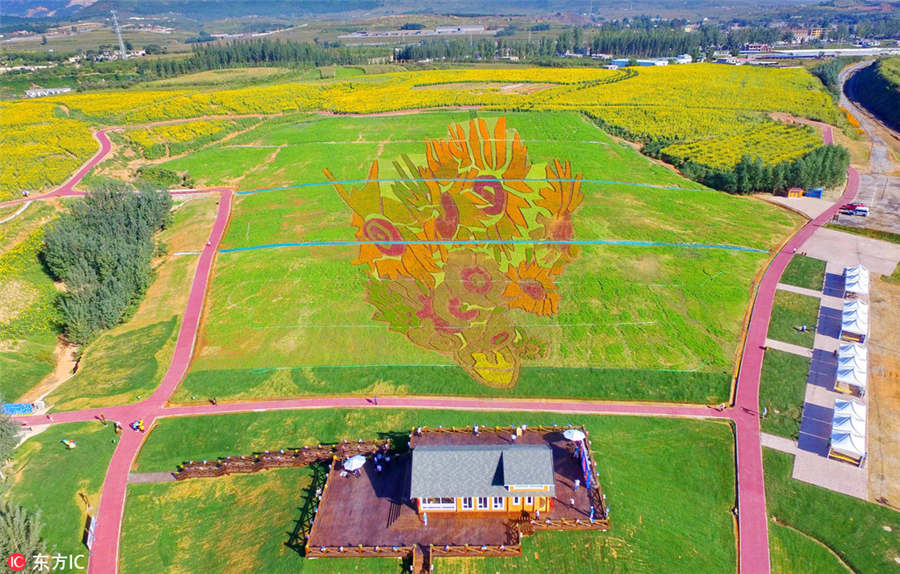 Van Gogh's 'Sunflower' blooms in Hebei